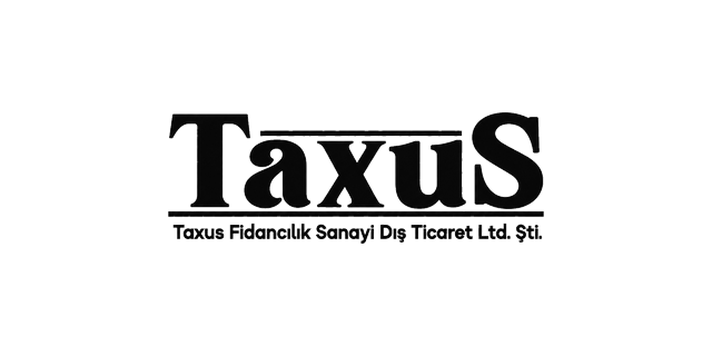Taxus